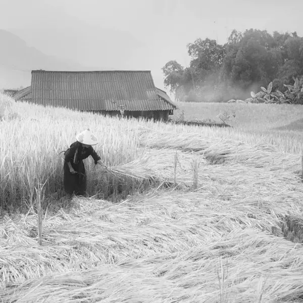 Untitled by Siarhei Mikhaliuk in Photography