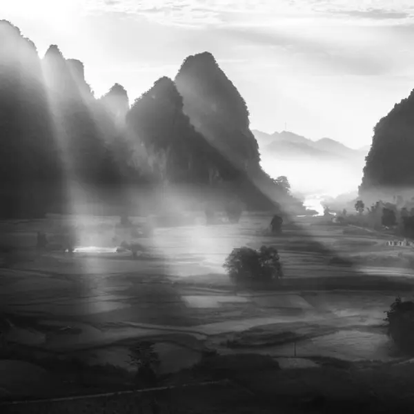 Untitled by Siarhei Mikhaliuk in Photography