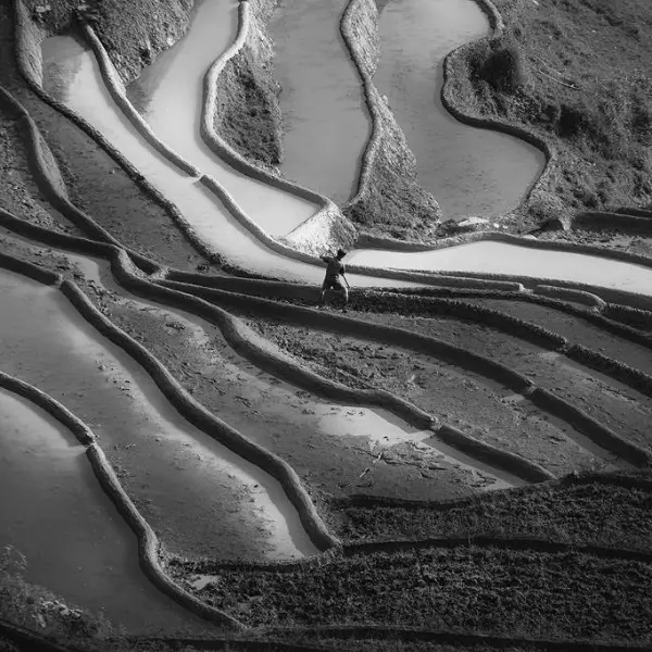 Untitled by Siarhei Mikhaliuk in Photography