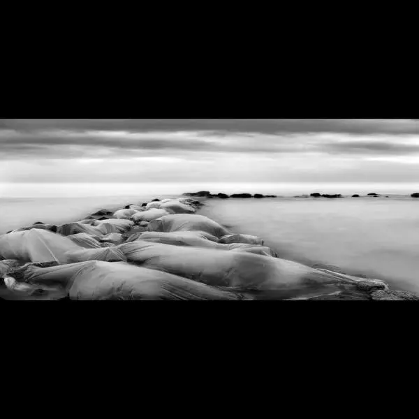 Bodi by Rafal Maleszyk Black White Fine Art Photography