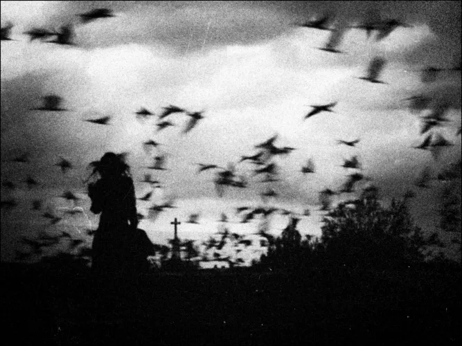 Storm is a creation by the artist Emese 'durcka' Laki. Category Nature, Sky, Photography. 4 distinctions, 5K views, 61 appreciations, 2 comments, 6 favourites.