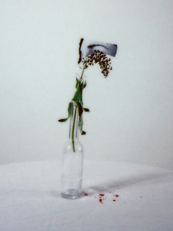 Gifts of ghosts by Philomena Famulok, Photography, Instant film | Art ...