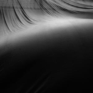 Portfolio 463 artworks