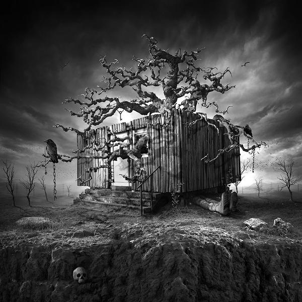 Untitled by Ivana Stojakovic