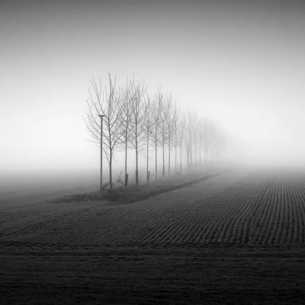 Perch on edge by Gérard Verbecelte in Photography Digital