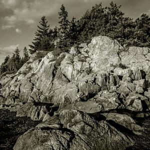 Portfolio 784 artworks