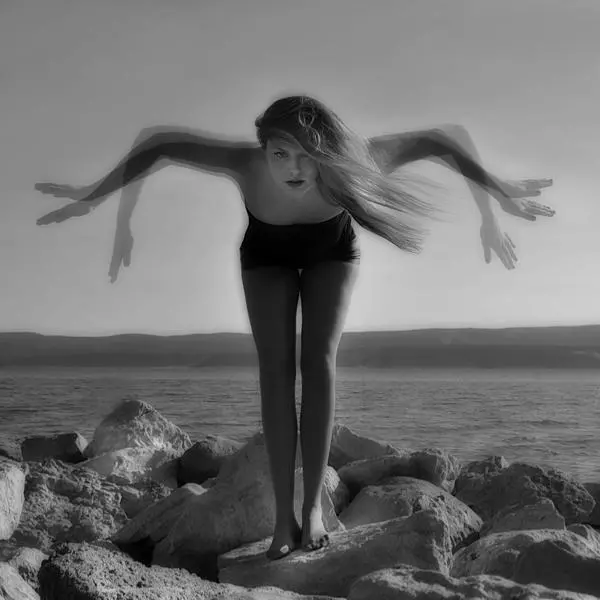 Seagull by Ivana Miletic