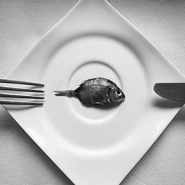 Modest Lunch by Ivana Miletic