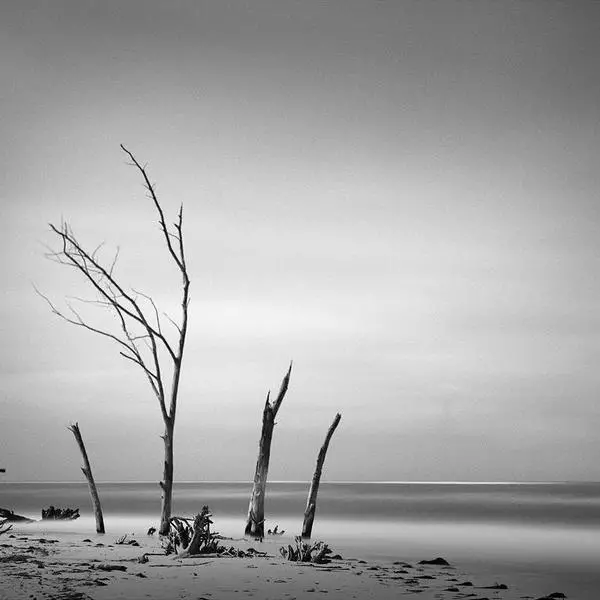 Thallus by Dennis Ramos in Photography Medium-format film