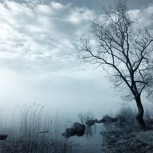 Portfolio 20 artworks