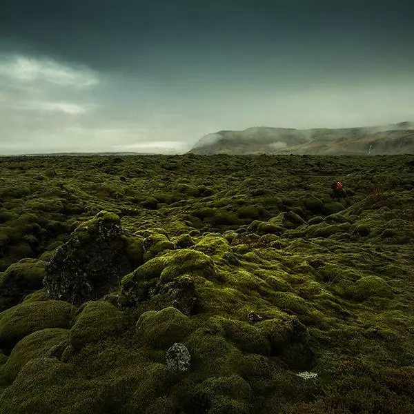 Red Photographer On A Green Carpet by Irca Caplikas in Photography Digital