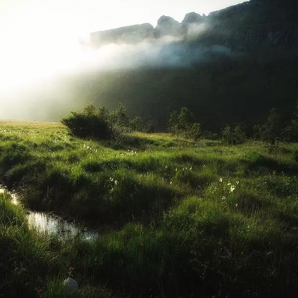 Light , Just Light by Irca Caplikas in Photography Digital
