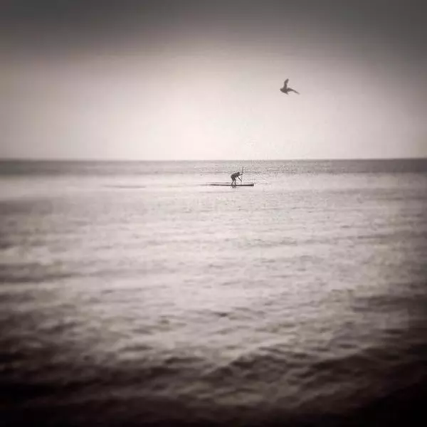 The Traveler by D T in Photography Mobile phone