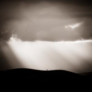 Paysage by Jean-Luc Billet