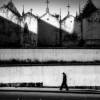 Film is not dead 5,727 artworks