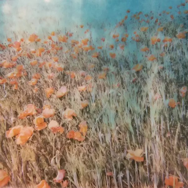 Impresionismo instantáneo by Valen Aguilar in Photography Instant film