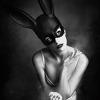 PENTAX 1,078 artworks