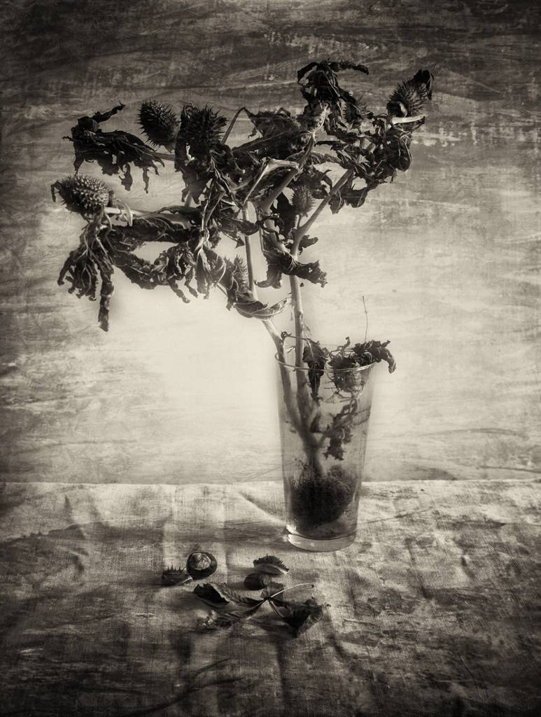 Rough Season by Peter Voros, Photography, Digital | Art Limited