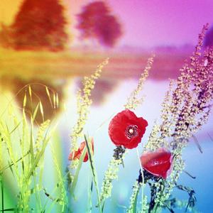 Portfolio 71 artworks