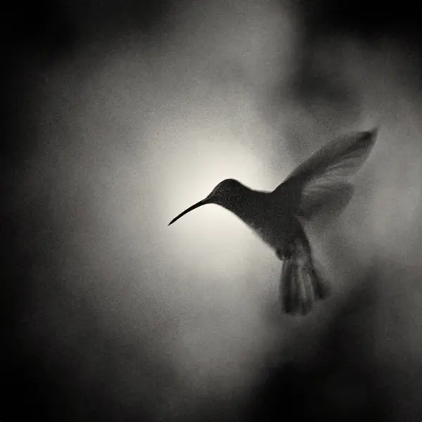 Crépuscule by Hervé Vallée in Photography film 24x36, 35mm