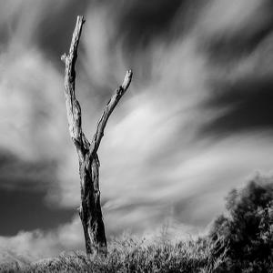 Portfolio 32 artworks