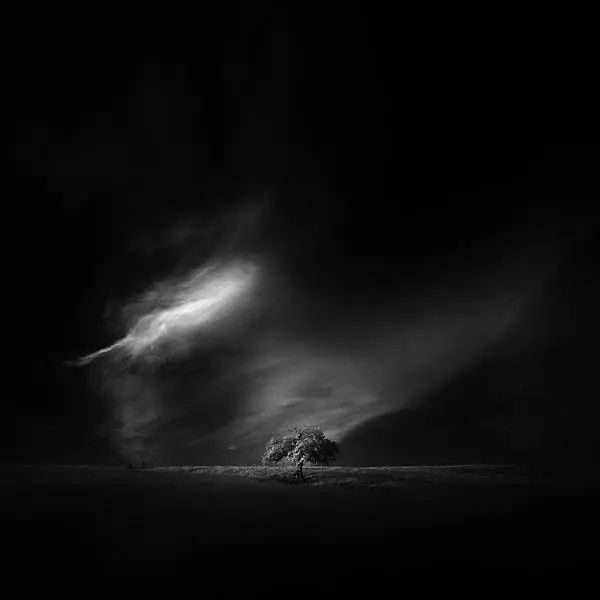 Flow Iii by Andy Lee