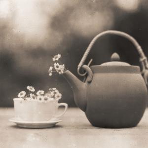 Miscellaneous by Diana Grainsandashes