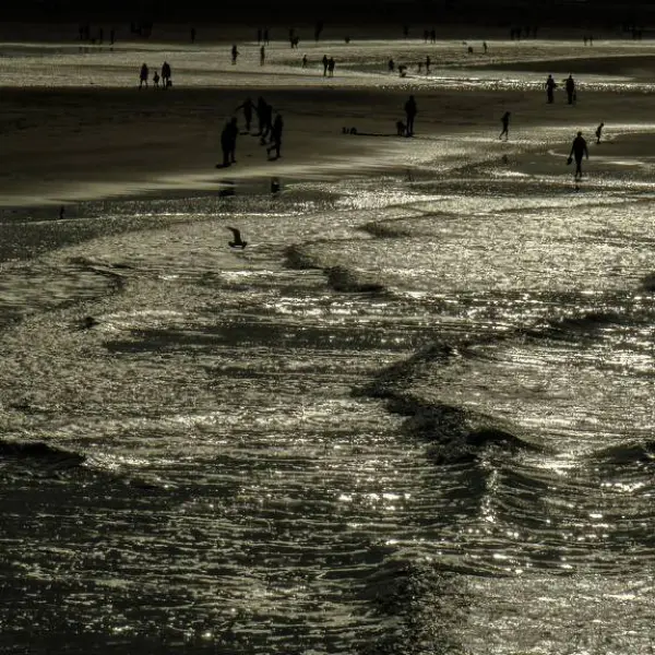 Black and Light by Vedrana Domazet in Photography
