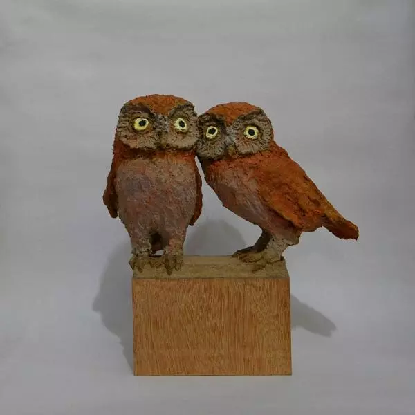 Petites Chouettes by Claudio Barake
