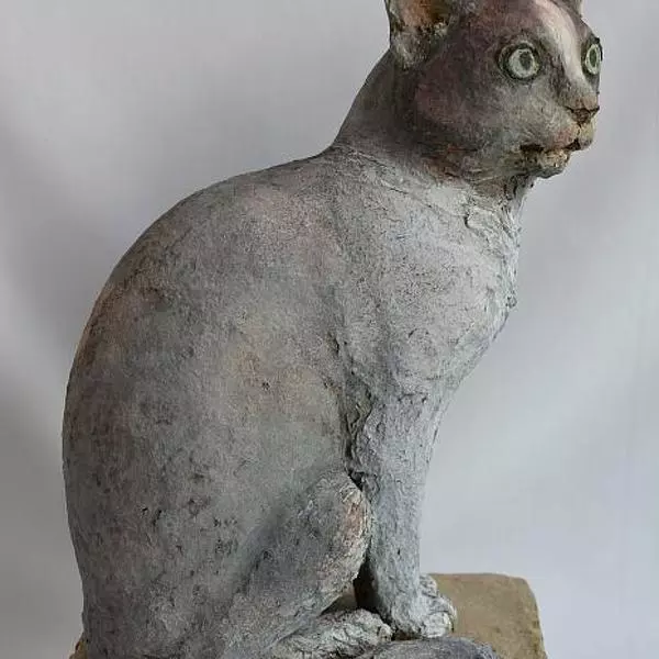 LE CHAT par Claudio Barake