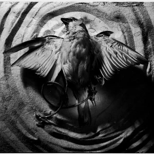 Freedom, I Don't Know You par Fernando Lopez Perez dans Photographie Film grand-format