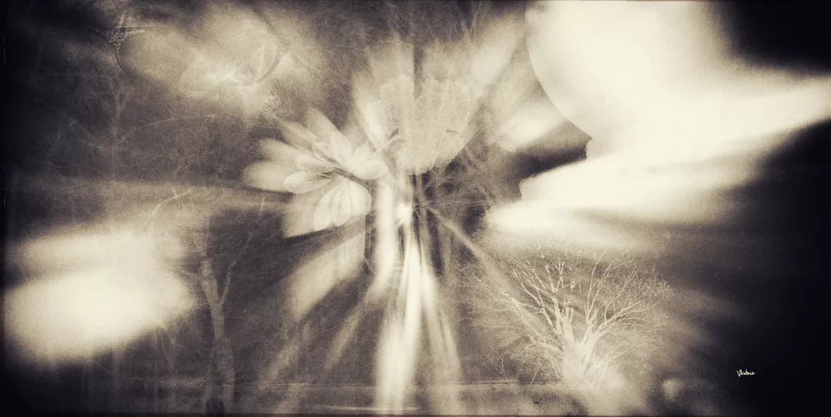 Untitled is a creation by the artist Vladimir Desancic. Category Nature, Landscape, Countryside, Op Art, Curiosity, Surreal, Digital art, Composition. PC. Mix Medium. 2 distinctions, 1K views, 59 appreciations, 5 comments, 10 favourites.