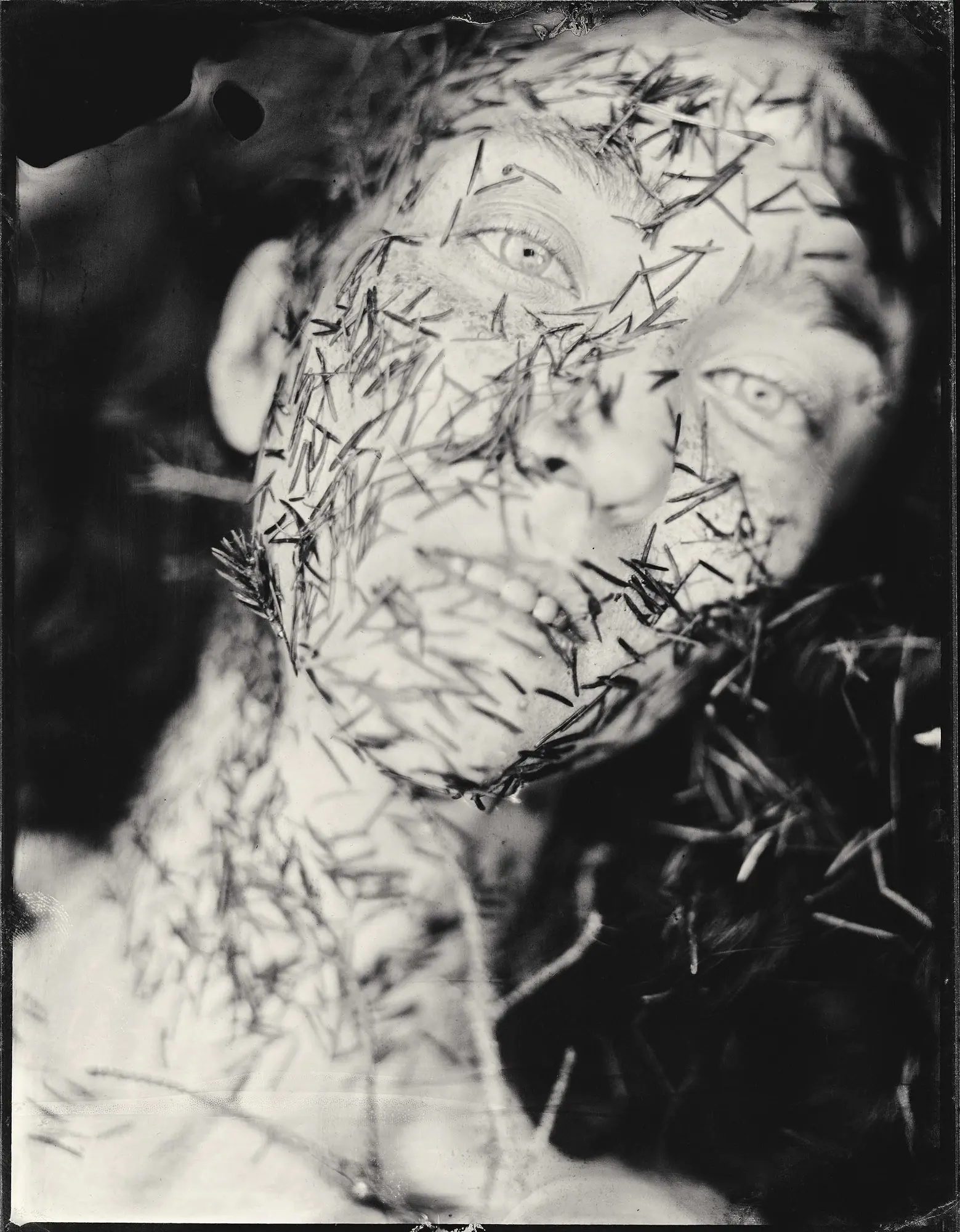 Sans titre is a creation by the artist Monika Cichoszewska. Category People, Portrait, Female, Fine-Art, Mystery, Photography, Large-format film. large format camera 6 1/2 x 8 1/22. wet palate collodion, ambrotype. 6 distinctions, 4K views, 73 appreciations,…