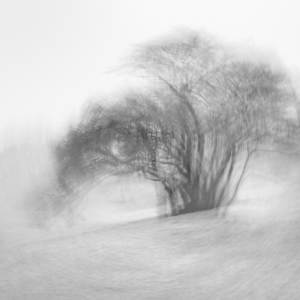 ICM 16 artworks