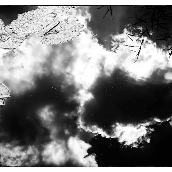 Dreaming on the waterfront by Paula van den Akker