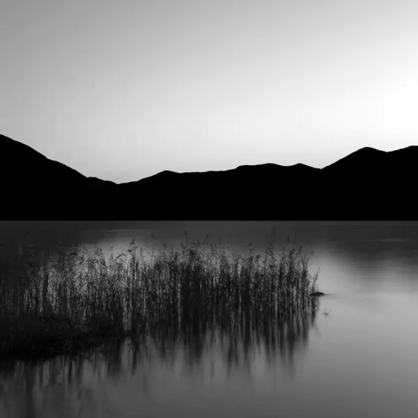 Novembre by Sascha Corti