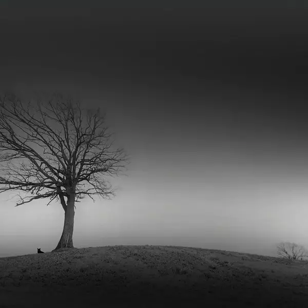 Way out par Frances Garcia dans Photographie Numérique