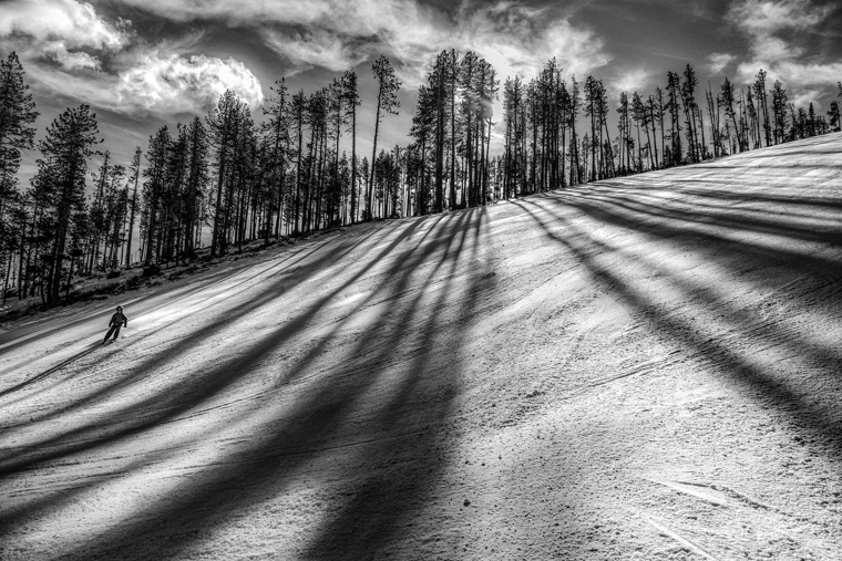light and shadow photography nature