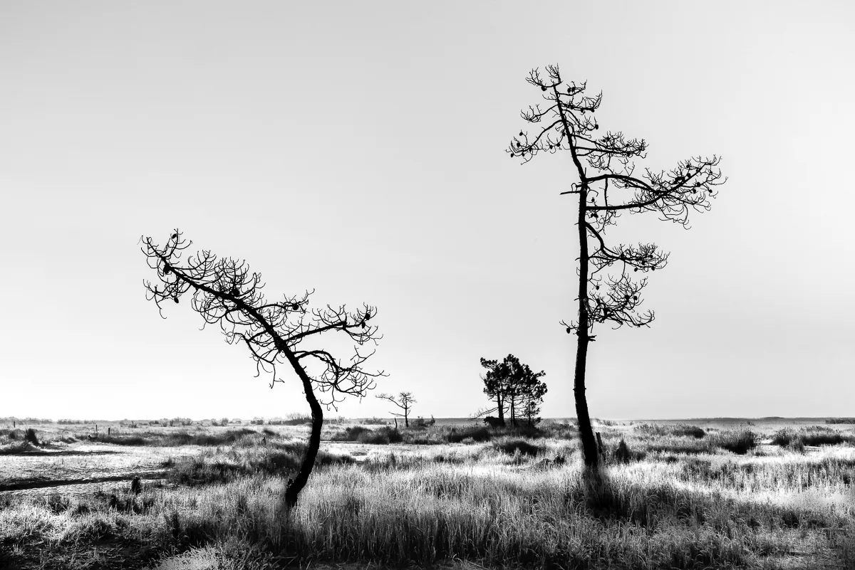 alexandra-fadin-dance-art on Tumblr, image size:1200x801