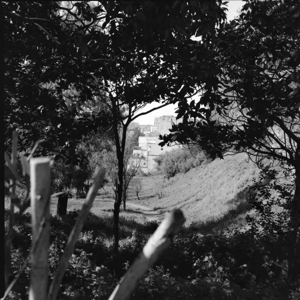 Looking down the ravine by Johannes Beilharz