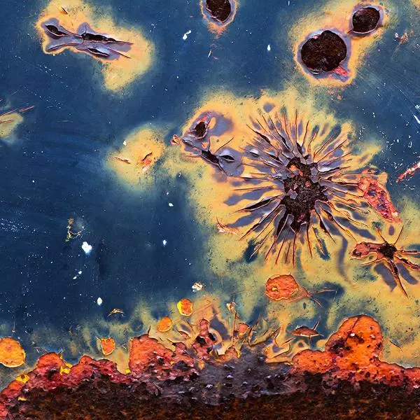 Fireworks Display by Tom O Scott in Photography Digital