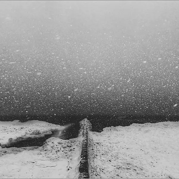 Untitled par Daiva Seibeliene dans Photographie