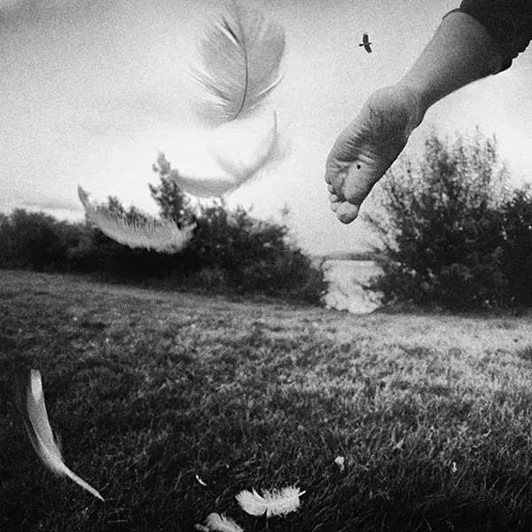 Fly! by Pavol Machata in Photography