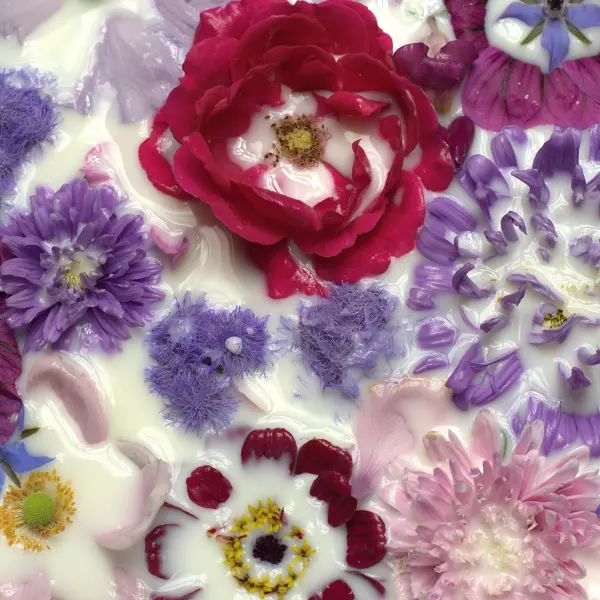 Botanicals I par Hannah Elizabeth Tilt