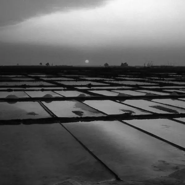 Saline à Aveiro - Portugal by Patrick Vitali in Photography film 24x36, 35mm