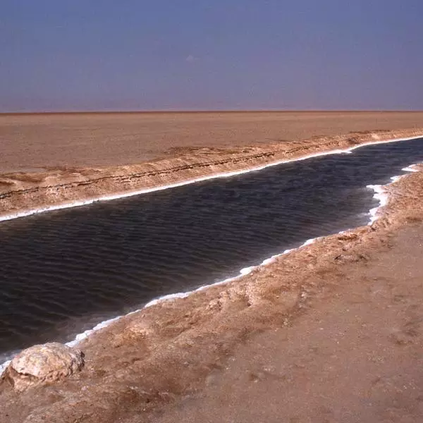 Chott al Cherid by Patrick Vitali in Photography film 24x36, 35mm