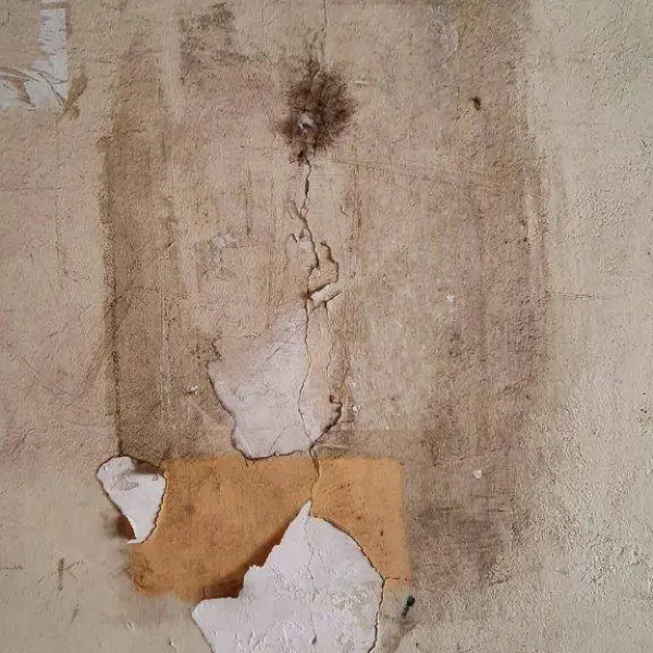Peinture ou imposture ? by François Arnaud