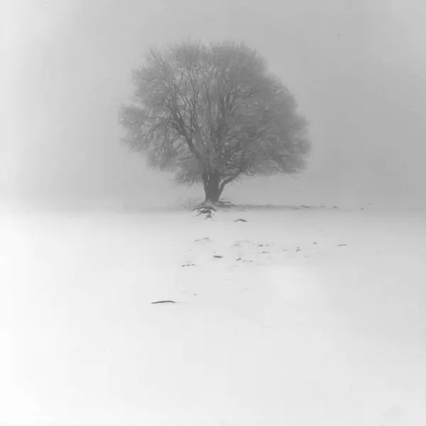 Minus Eight trip 2015II. par Pavel Úšovický dans Photographie Film moyen-format