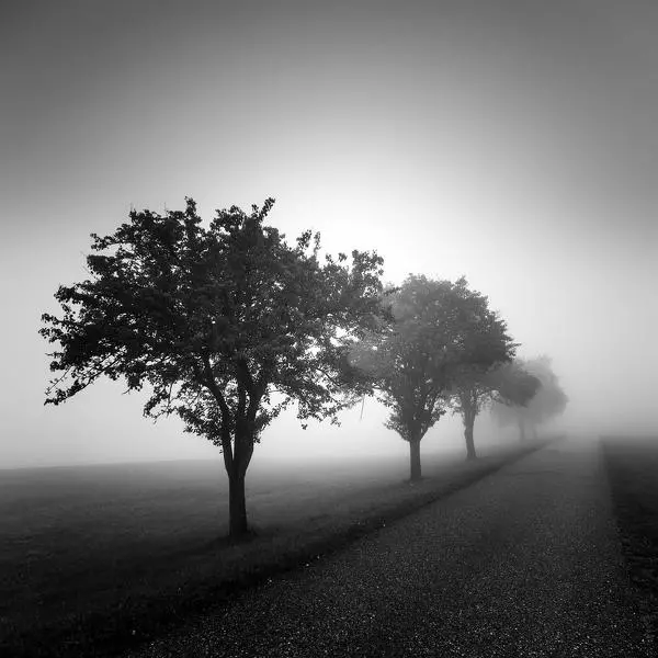 Untitled par Gerald Arzt dans Photographie