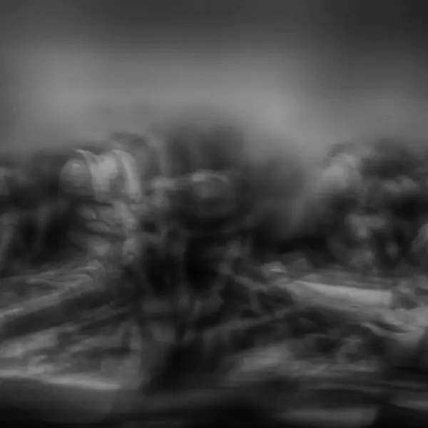 Departures by Fadwa Rouhana in Photography
